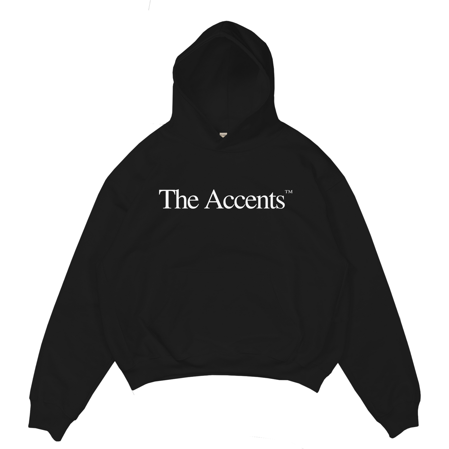 CLASSIC BIG LOGO HOODIE